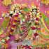 Dhara_Prajapati